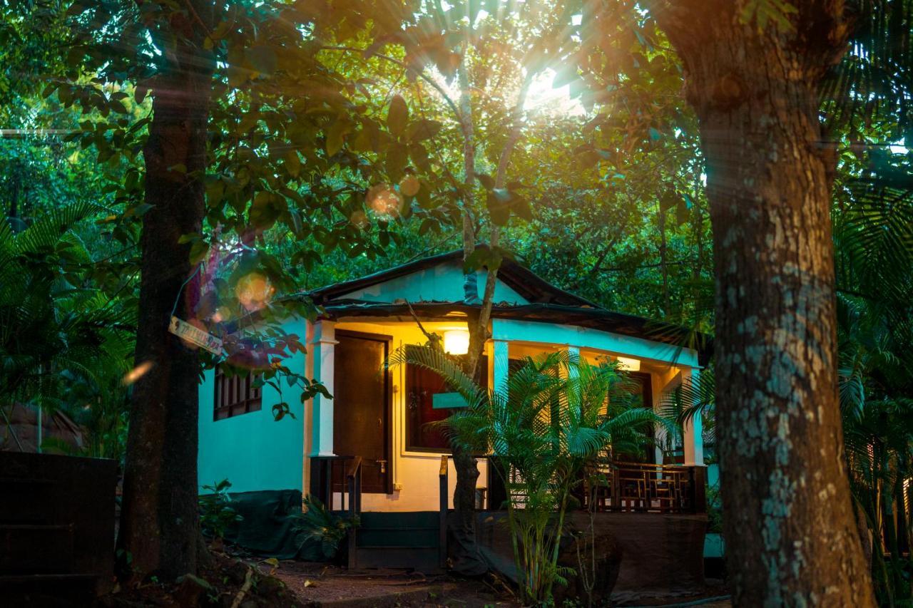 La La Land Resort Goa Palolem Extérieur photo