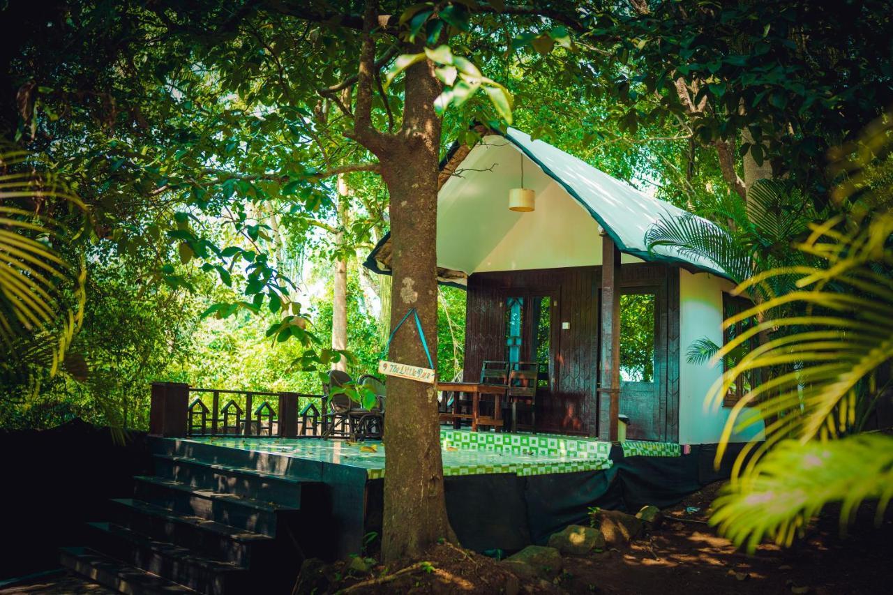 La La Land Resort Goa Palolem Extérieur photo